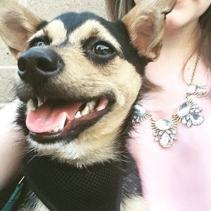 Meet your Posher, Ceci